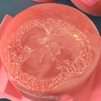 Peony & Amberwood Loofah Soap